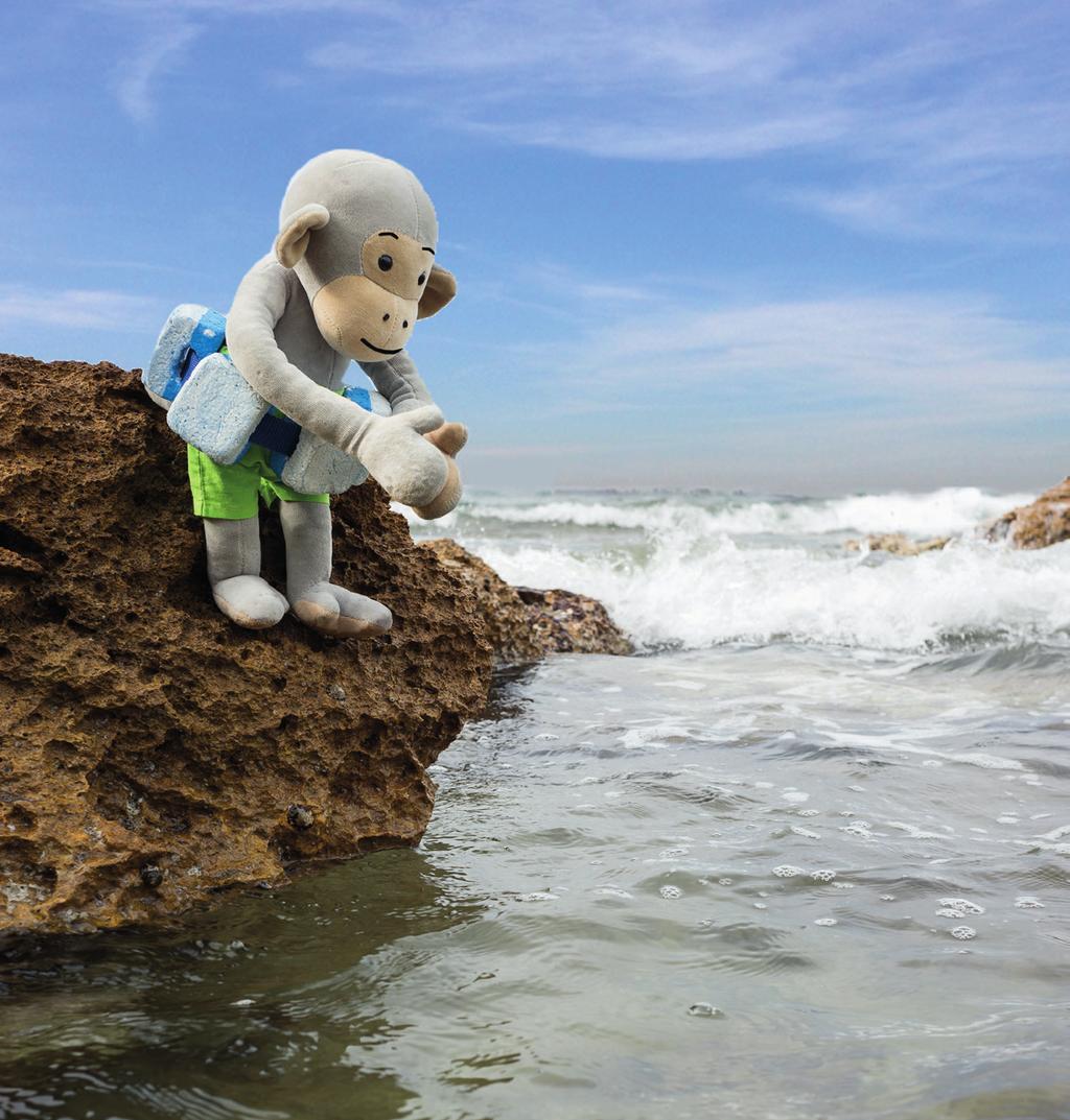 AAPJE PIPPO NEEMT EEN DUIK Aapje Pippo staat op een rots. Hij kijkt in het zeewater en ziet op de bodem iets liggen wat blinkt. Hij wil in het water springen, maar vindt dat ook een beetje eng.