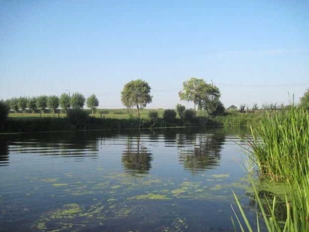 Ligging van de viswateren in het onderzoeksgebied:. Oude Leie Machelen,. Oude Leie Gottem,. Oude Leie Grammene... Oude Leie Machelen Oude Leie Machelen heeft een oppervlakte van, hectare.