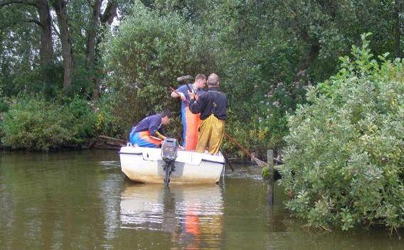 .. Vistuigen De oeverzones zijn bemonsterd met een kw elektrovisaggregaat (figuur.). Er zijn overdag trajecten van meter afgevist vanuit een boot.