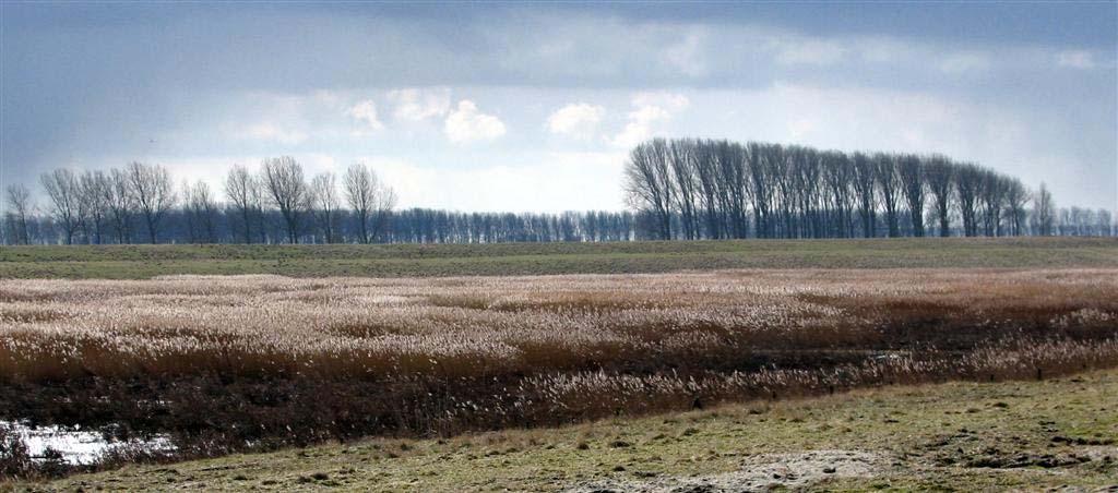 4 Het Zeeuwse landschap Het onderzoeksgebied van de Roofvogelwerkgroep Zeeland beslaat de gehele provincie Zeeland inclusief de voormalige buitendijkse gebieden in de Grevelingen en het Markiezaats-