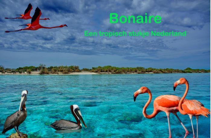 Bonaire lezing door Piet Vergoossen Bonaire, een tropisch stukje Nederland. Bonaire ligt in het zuidelijk Caribisch gebied en behoort samen met Aruba en Curaçao tot de zogenaamde ABC-eilanden.