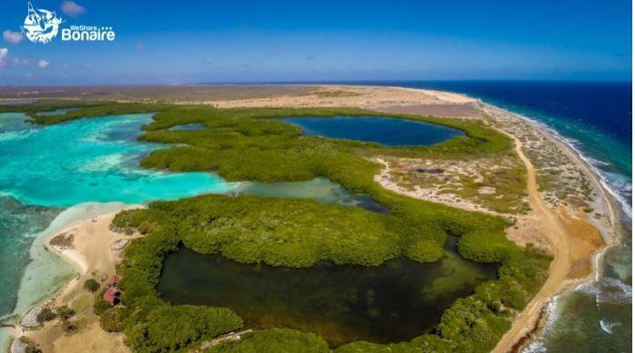 hele gebied van Lac Baai valt onder het Bonaire National Marine Park en is beschermd.