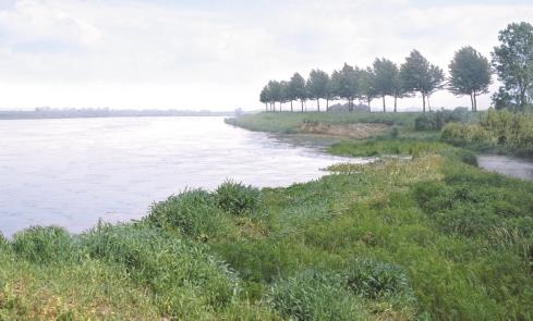 uitwisseling via de Maas. Tijdens hoogwater stroomt de hoogwatergeul mee, wat zorgt voor een dynamiek die hoort bij riviergebonden natuur.