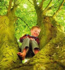 Feiten: 15% minder kinderen met overgewicht in groene woonomgeving. Onder een boom is het op een warme dag 10 tot 15 o C koeler. Mensen woonachtig in het groen zijn gezonder en minder gestrest.