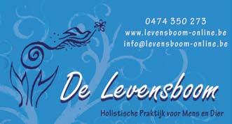 Verdelers: De Nieuwe Stroming - Mortsel - 03/455 97 25 Léger Colette - Bambrugge 053/62 63 32 Van den Haute Etienne - Lahamaide - 068/44 51 70 Van der Staey Raf - Houtvenne - 016/69 80 53 Voor