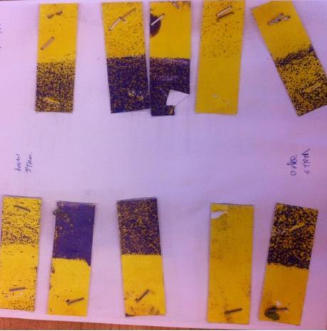 Foto 5: links 5 Bar, rechts 7 Bar, beide 750 l/ha Weinig verschil in spuiten met 7 Bar en met 5 Bar.