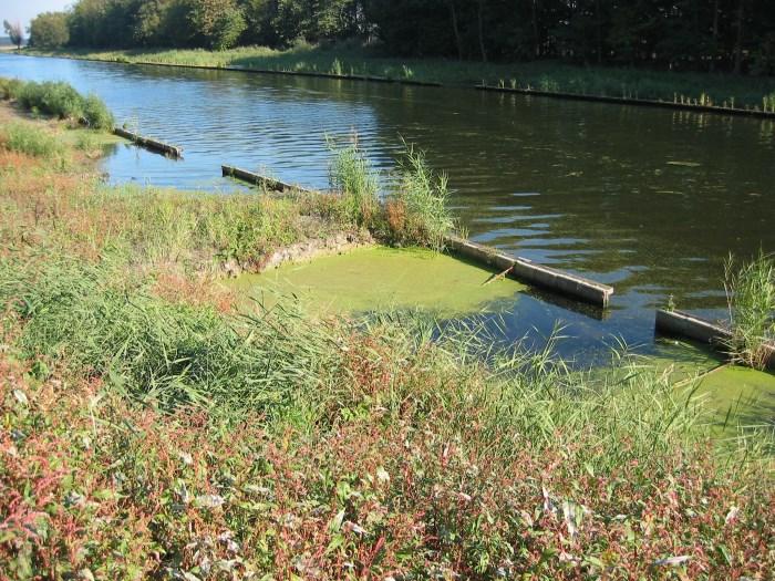 Natuurvriendelijke oever Hoge Vaart (De inrichting van deze oevers past in het Waterbeleid 21 e eeuw en voldoet aan de eisen gesteld in de Kaderrichtlijn Water) 4.