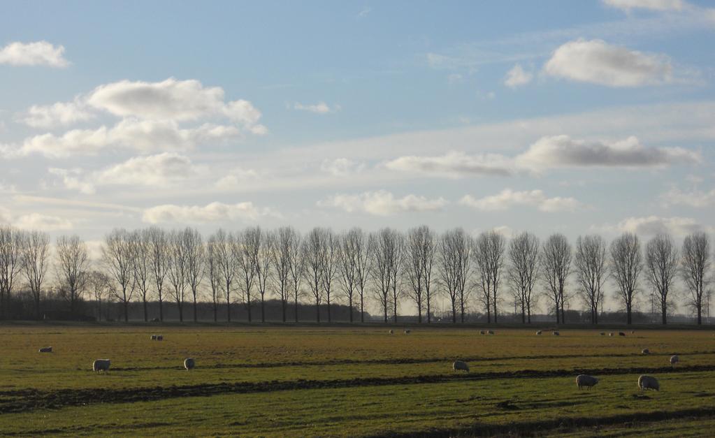 Projectvoorstel Oostkant Dronten 25 er neveninkomsten worden gezocht.