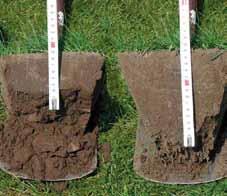 fosforbronnen ᗍ voor een betere en sterkere beworteling van een bestaande tee ᗍ ideaal bij doorzaai en leggen van graszoden voor een snellere inworteling ᗍ sneller herstel in geval
