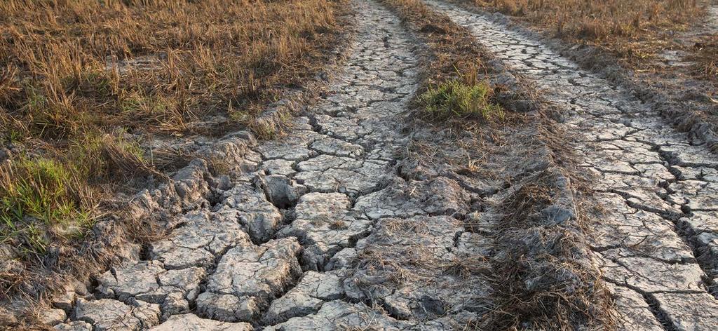 Door droogte in combinatie met wisselende grondwaterstand kan de natuur ernstig verdrogen. En in bebouwd gebied kan schade ontstaan aan boven- en ondergrondse bebouwing.