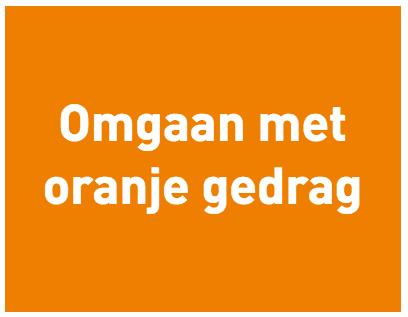 Raamwerk Agressiepreventie en -hantering Rust en zelfvertrouwen tonen Grenzen stellen Afwijkend gedrag signaleren