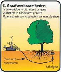 Machinaal graafwerk binnen de kroonprojectie is verboden! 4. Voorkom bodemverdichting onder de kroonprojectie door transport, opslag van materialen e.d. 5.