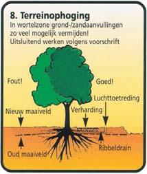 boomverzorgers (European Treeworkers). Graafwerkzaamheden afbeelding 6-7 In de wortelzone is (machinaal) graven niet toegestaan.