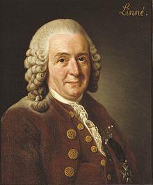 Voorbeeld 1 definiëren om te classificeren Carolus Linnæus (1707 1778), Zweedse plantkundige, arts en bioloog die de basis gelegd voor de moderne biologische