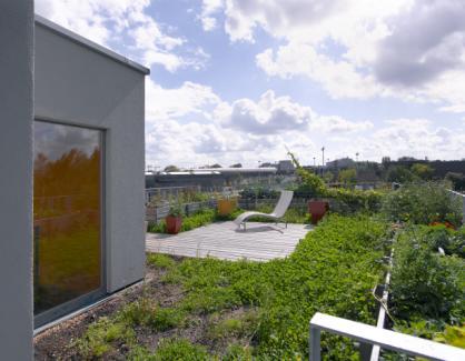 meer 100 m² moeten worden ingericht als groene daken.