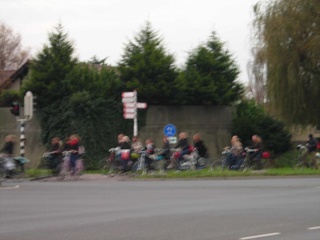 Figuur 3 Fietsers op richting 24 in de avondspits 2.1.2. Fasevolgorde In tabel 1 staat een overzicht van de meest voorkomende fasevolgorde op het kruispunt.