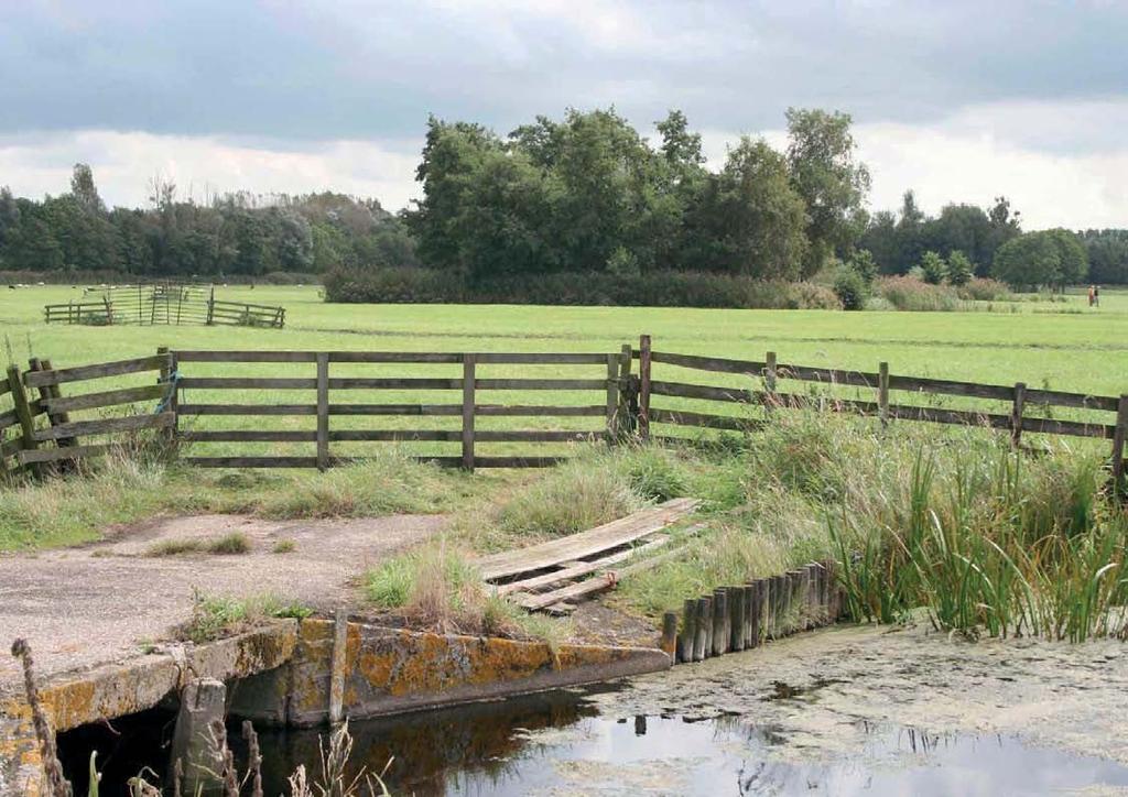 Mei 2013  polder