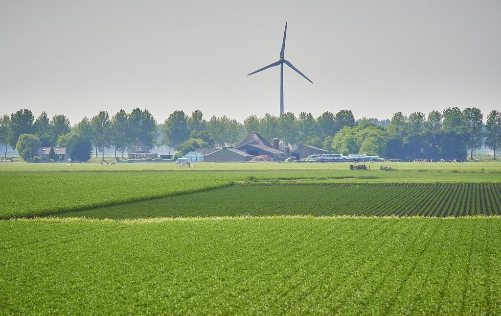DUURZAME ENERGIE Het Groene Hart Noord biedt volop kansen voor het opwekken van duurzame energie. Diverse gemeenten hebben de doelstelling om energieneutraal te worden richting 2040 en 2050.