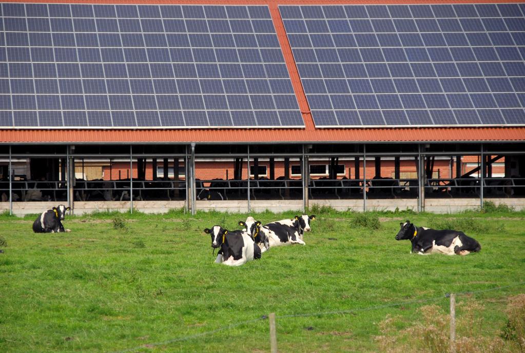 Trends & Ontwikkelingen Stijging van het aantal agrarische bedrijven dat hernieuwbare energie opwekt. Technologische ontwikkelingen op het gebied van verwaarding van reststromen.