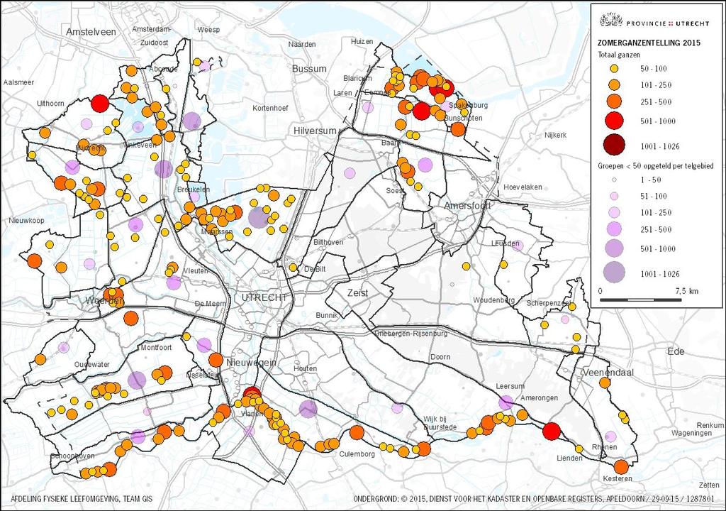 Bijlage 4 Verspreidingskaart totaal 2015 Toelichting: de groepen >50 ganzen (ongeacht de soort) zijn allen met een aparte stip ingetekend op de kaart.