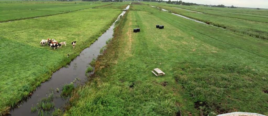 Watergebiedsplan Groot