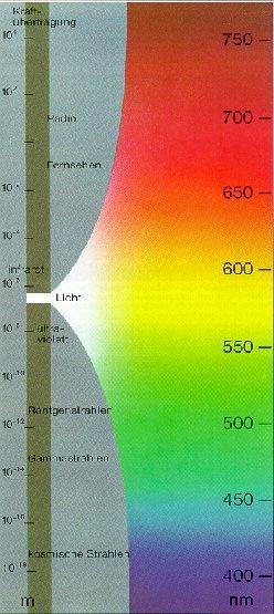 Licht en planten: zonlicht (spectrum) Straling Golflengte Opmerking UV-C << 290 nm Komt niet aan op de aarde UV-B 280-315 nm > 300 nm komt aan op aarde UV-A 315-380 nm Gevaarlijke straling in de zon