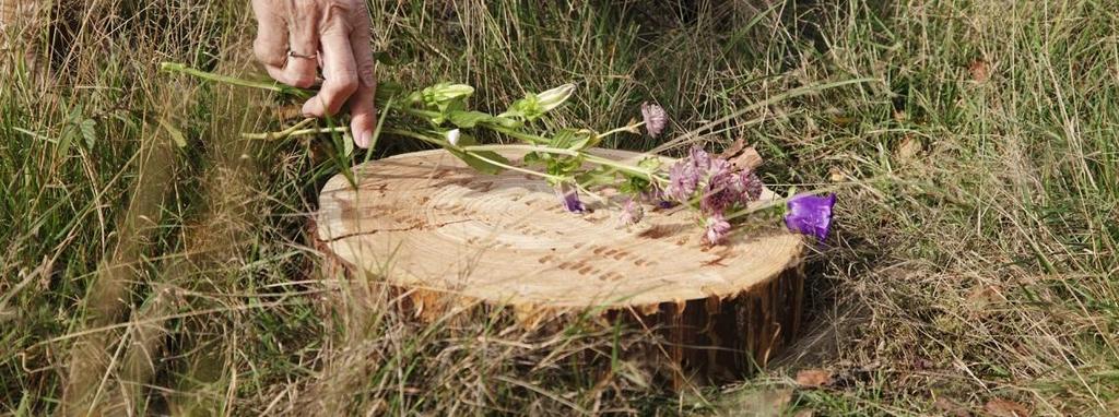 uitvaarten Ruimte voor natuurlijk begraven mits