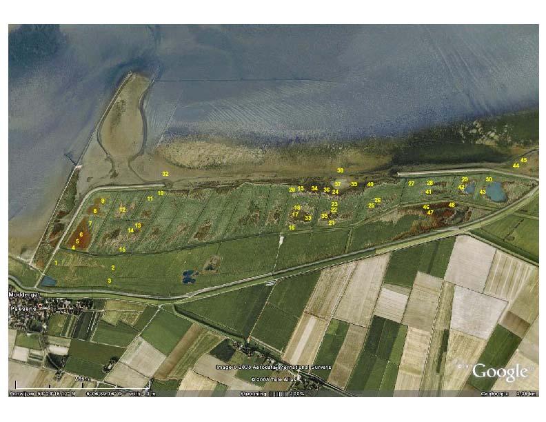 methode. Dergelijke SEB-metingen in de Peazemerlannen zijn al vanaf 1995 onderdeel van het SEB-meetnet van IMARES in de Waddenzee.