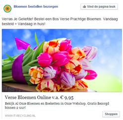 De perfecte Facebook adverten5e bestaat uit: Perfecte Facebook advertentie Een perfect ontwerp!