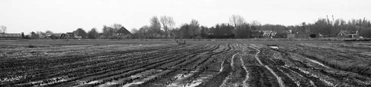 Natura 2000 in De Zeevang Was het in 2008 het IJsselmeer dat in beeld is gezet door KNNV Hoorn, (o.a. met de boottocht), dit jaar doen we polder Zeevang.