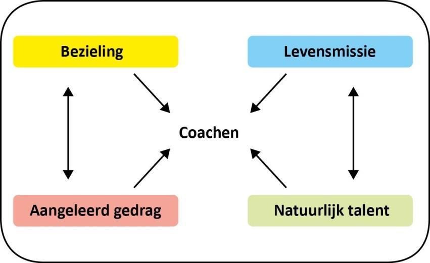 Levensmissie: hoe kun jij vernieuwend blijven voor jezelf en anderen? Om welke (latente) kwaliteiten gaat het daarbij? In deze training werken we o.a. op basis van informatie uit je geboortehoroscoop (persoonlijk profiel, 7 pagina s).