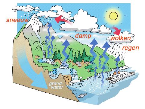 Verdamping: Door zonnewarmte verdampt water uit rivieren, meren, stromen en oceanen aan het oppervlak. Vloeibaar water verandert in waterdamp en stijgt op naar de lucht.