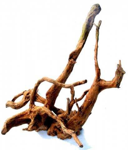 Kienhout Kienhout wordt vaak aangewend in het aquarium. Kienhout is niet alleen decoratief, maar heeft nog andere functies. Zo is het een uitstekend aanhechtingsmateriaal voor epifytplanten (bv.