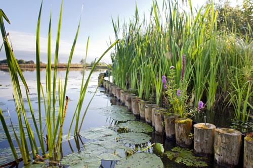 Aanleg natuurvriendelijke oevers in Reeuwijkse Plassen begint Publicatiedatum : 13 augustus 2012 Het hoogheemraadschap van Rijnland begint vanaf 20 augustus met de eerste fase van de aanleg van