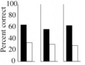 11 studies: woord en beeld +55% tot +121% meer