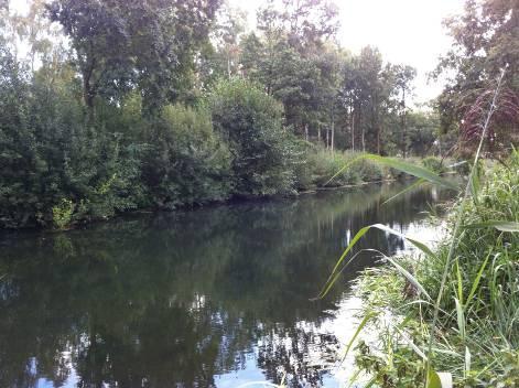 Het Peelkanaal stroomt over de hoge Peelhorst en mondt benedenstrooms uit in één van de natuurlijke Raambeken.