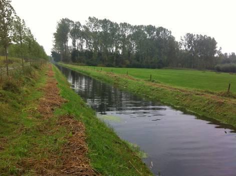 7 Biezenloop NL38_1L 7.1 Beschrijving waterlichaam Figuur 7.1: Ligging Biezenloop, benedenloop bij het Wijboschbroek, middenloop ter hoogte van Zijtaart en bovenloop bij Zondveld.