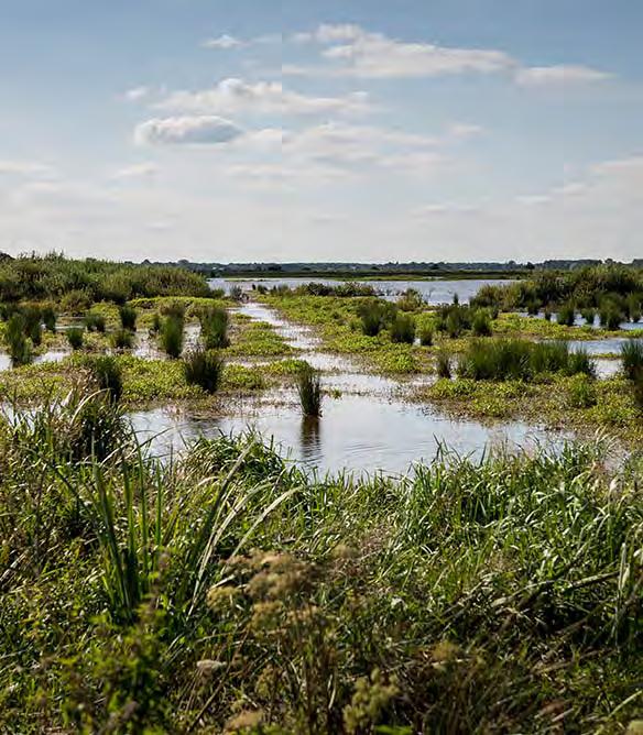 Het Hunzedal Het Zuidlaardermeer maakt deel uit van het beekdalsysteem van de Hunze.