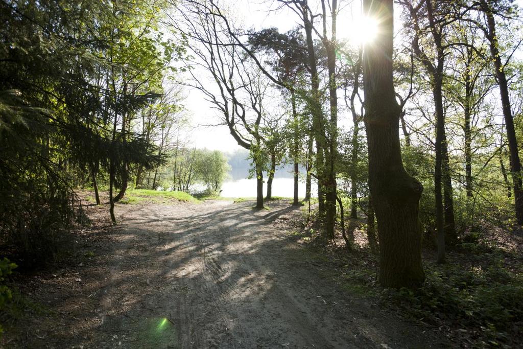 2004 Start bouw ecoduct A2 2004 Het Groene Woud als Nationaal Landschap 2005 Oprichting Streekrekening Het Groene Woud 2005 Eerste Streekfestival Het Groene Woud 2005 Oprichting Coöperatie Het Groene