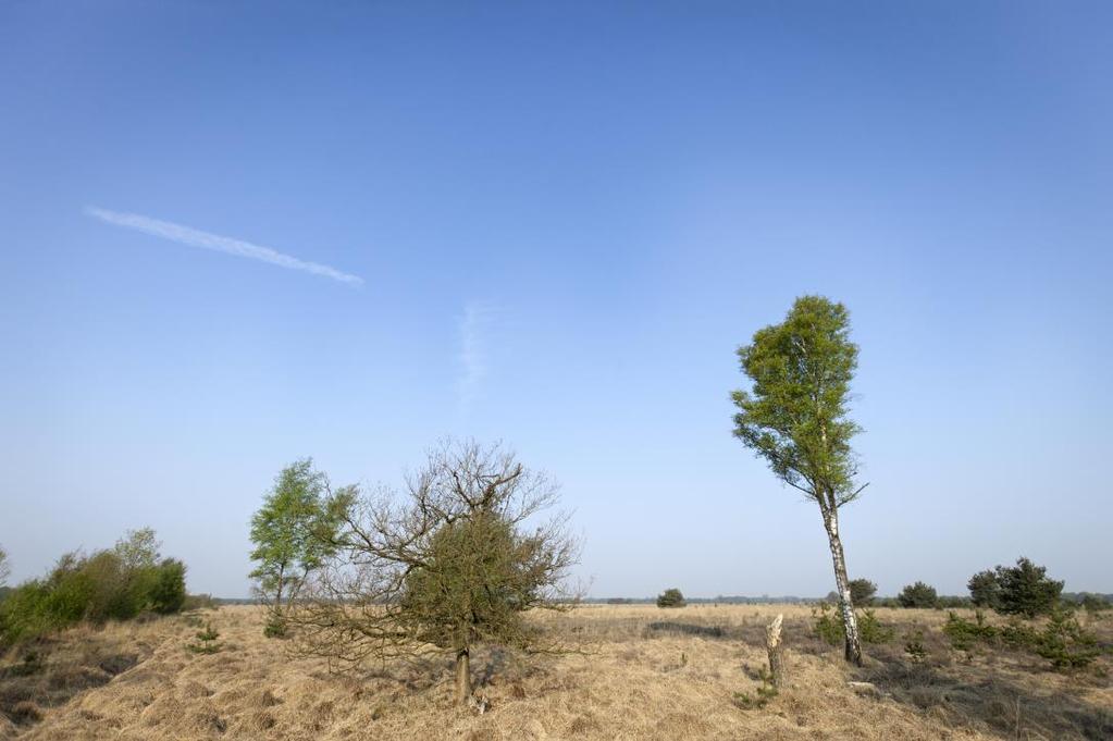 aandacht aan de grenswallen van Velder; weer een ander initiatief zet zich in voor het behoud van het Joods kerkhof in Oisterwijk, voor een Vlaamse schuur in Best, een kiosk in Sint- Michielsgestel