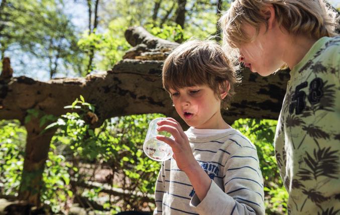 ZONDER GIDS MET GIDS Noniksie (groepen 1 en 2) Horen, zien en voelen in de natuur (groepen 3 t/m 6) De geheimzinnige Noniksie woont in het bos.