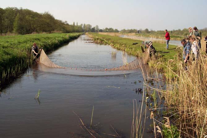 KNNV Moeraswerkgroep, Verslag steekproefonderzoek visstand in de Zodden, april 2005 pag 2/11