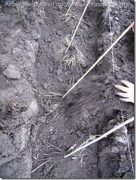 Als eénmaal de planten vastzitten kan de rest van de grond in grotere hoeveelheden, en met de schop