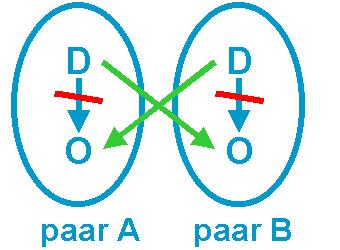 8. Wanneer vindt de operatie plaats? De operatie kan pas gepland worden zodra beide donoren zijn goedgekeurd in de transplantatiecentra en beide ontvangers in een goede conditie zijn.