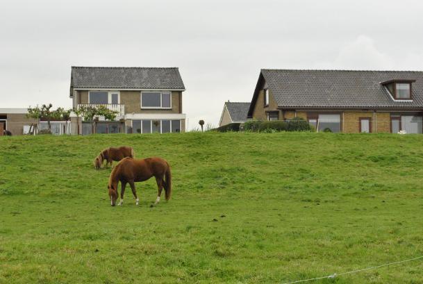 1.2 Locatie De Verwondering is gelegen tussen eerdere dorpsuitbreidingen en de recent aangelegde golfbaan.