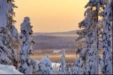 Tijdens deze korte maar goed gevulde shortbreak beleeft u het beste wat Fins Lapland te bieden heeft.