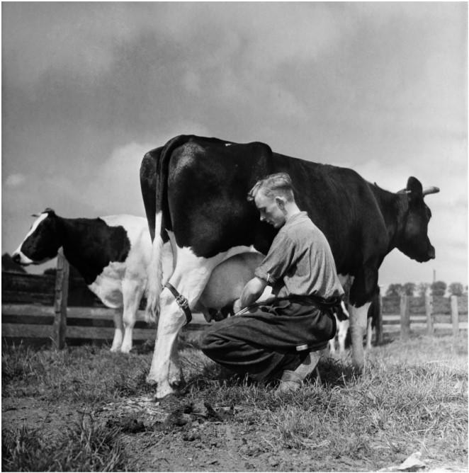 maakt deel uit van een project van het Nederlands Fotomuseum De Mix, waarbij een klassieke en een hedendaagse fotograaf een typisch Nederlands thema in beeld brengen.