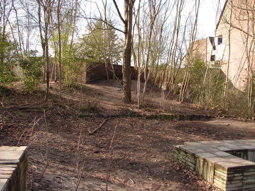 Projecten! Project bosje Voor de kinderen in het kader van beweegwijs een extra, veilige en vooral spannende speelplek creëren.