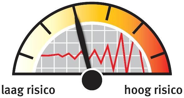 Om het risico van de verschillende risicoprofielen te berekenen, maken wij gebruik van de standaarddeviatie.