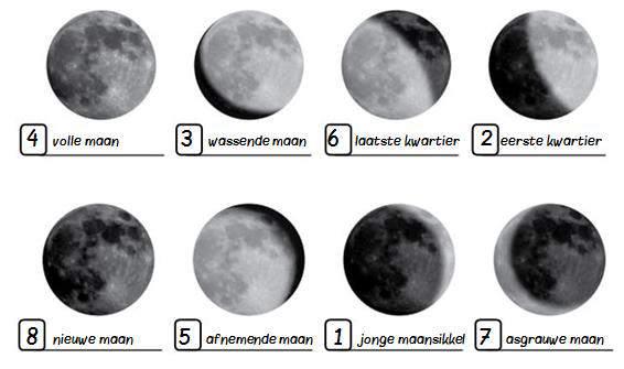 én van hen is onze eigen zon: een gigantische bol van hete gassen. m de zon draaien acht planeten.